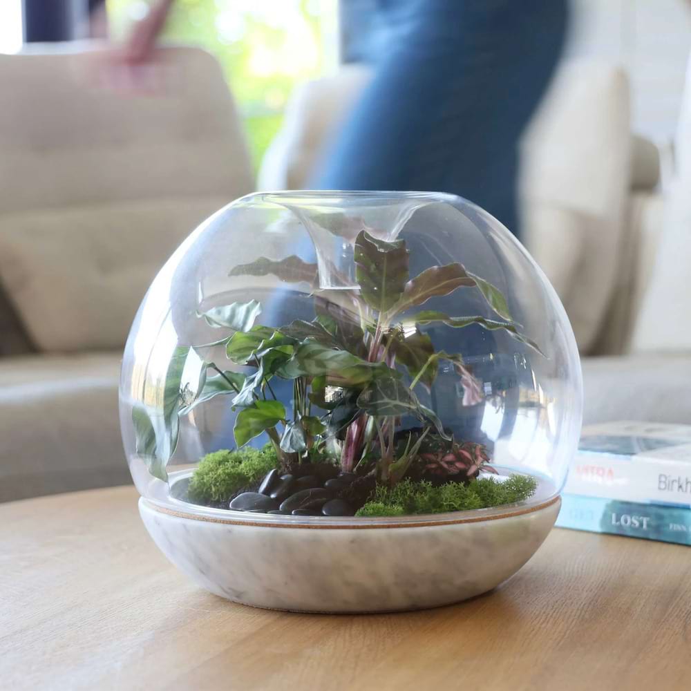 Biodome Terrarium Workshop