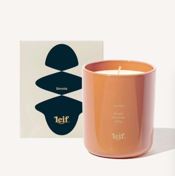 Boronia Candle 